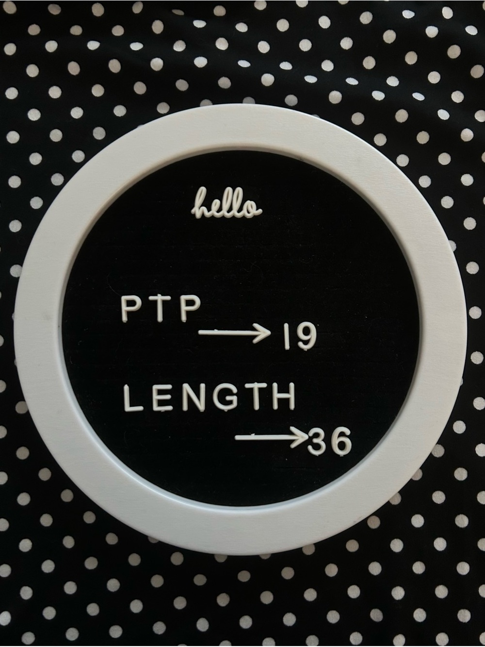TIANA B Black & White Polka Dot Swing | Soft Knit Short Sleeve Dress - Picture 14 of 15